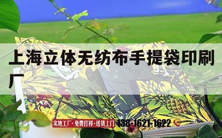 上海立體無(wú)紡布手提袋印刷廠(chǎng)｜無(wú)紡布手提袋印刷工藝
